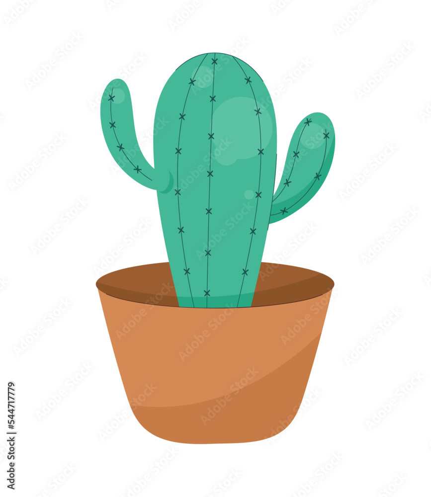 cactu houseplant in pot cactu houseplant in pot