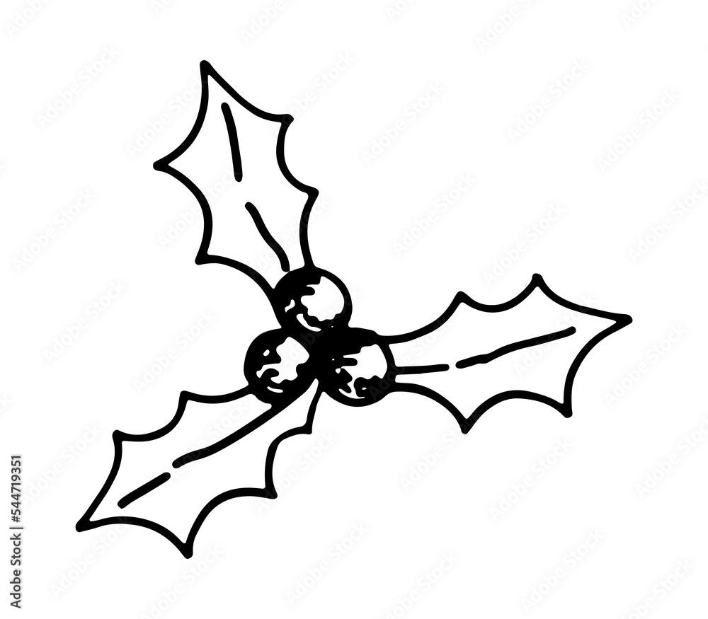 Doodle of holly Christmas plant. Outline drawing of leaves and berries