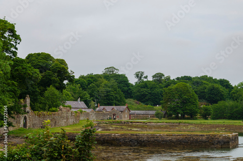 Castleward walls on the shores of Strangford Lough photo