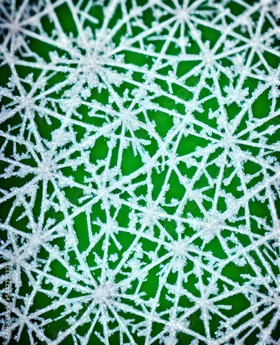 The snowflake is a beautiful crystal, shining in the light. It's intricate patterns are stunning up close.