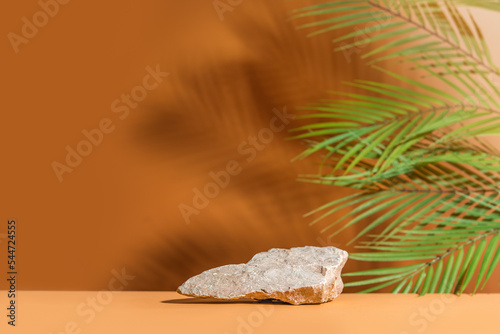 Natural empty background for cosmetic product presenation, packaging mockup made with stone and palm leaves. Minimal nature scene. Front view, copy space.
