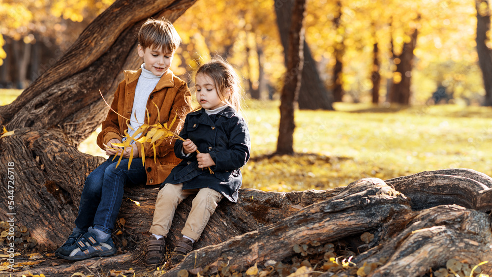 Happy family in an autumn park. Brother and sister sitting on a tree trunk, playing with a twig, yellowed trees around. Slow motion