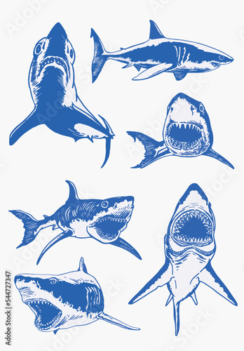 Fotografie, Obraz Graphical big set of blue sharks and jaws isolated on white background,vector el