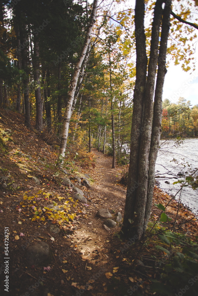 Obraz premium Bon Echo Provincial Park in Ontario, Canada. A spectacular landmark in North America alongside Mazinaw Lake. Autumn leaves and fall colors late in the season making for a beautiful landscape.