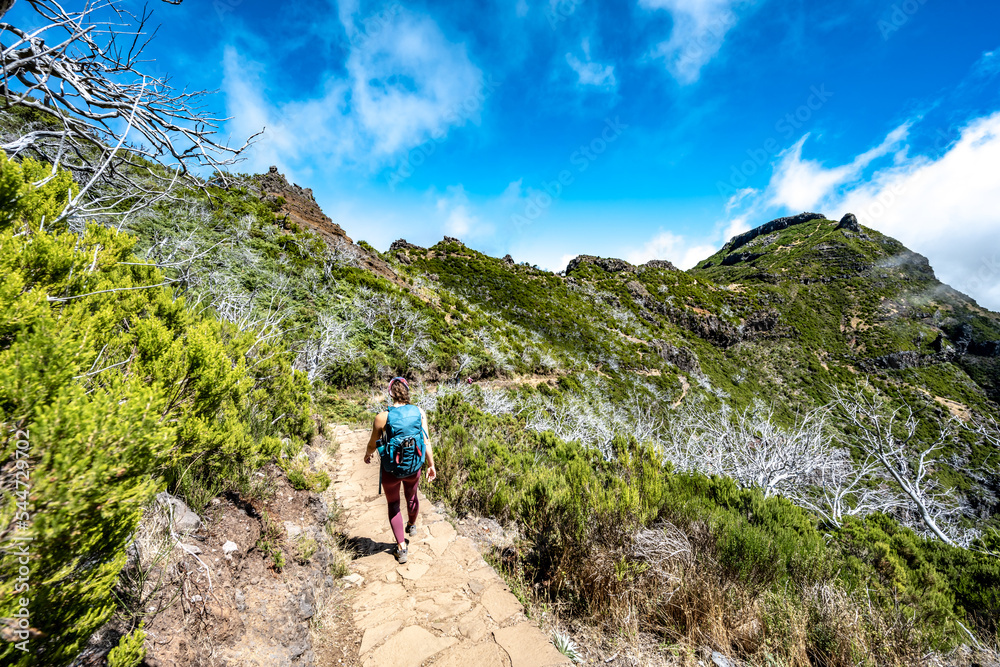 Hiker with backpack walking through a scenic forest of dead trees in the afternoon. Verade do Pico Ruivo, Madeira Island, Portugal, Europe. Hiker with backpack walking through a scenic forest of dead trees in the afternoon. Verade do Pico Ruivo, Madeira Island, Portugal, Europe.