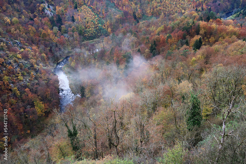 Kamptal im Herbst, Waldviertel, Niederösterreich photo