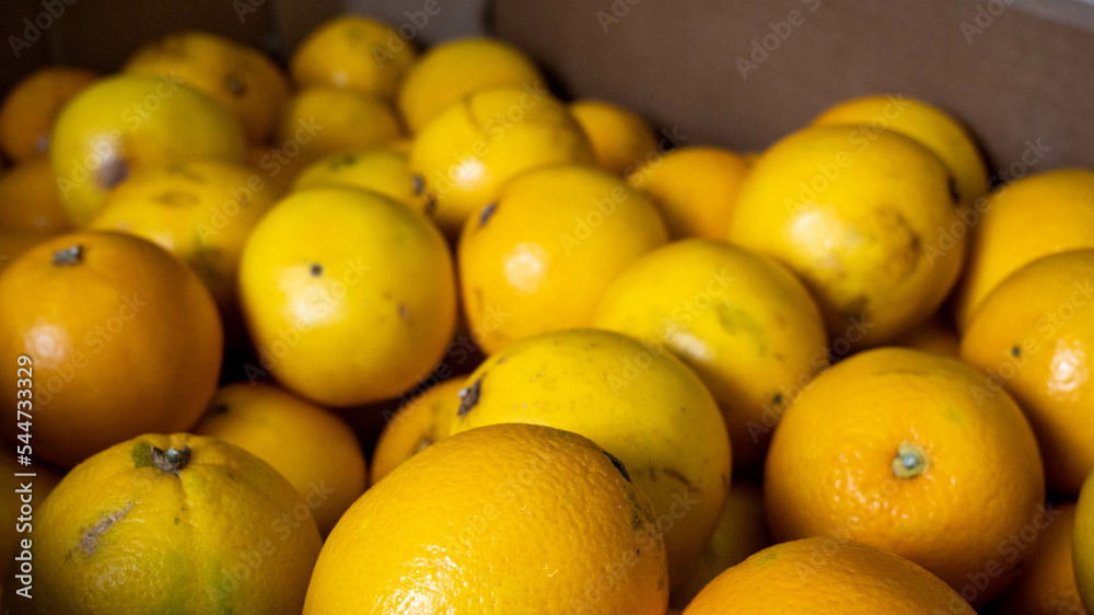 group of oranges closeup horizontal shot on a greengrocery