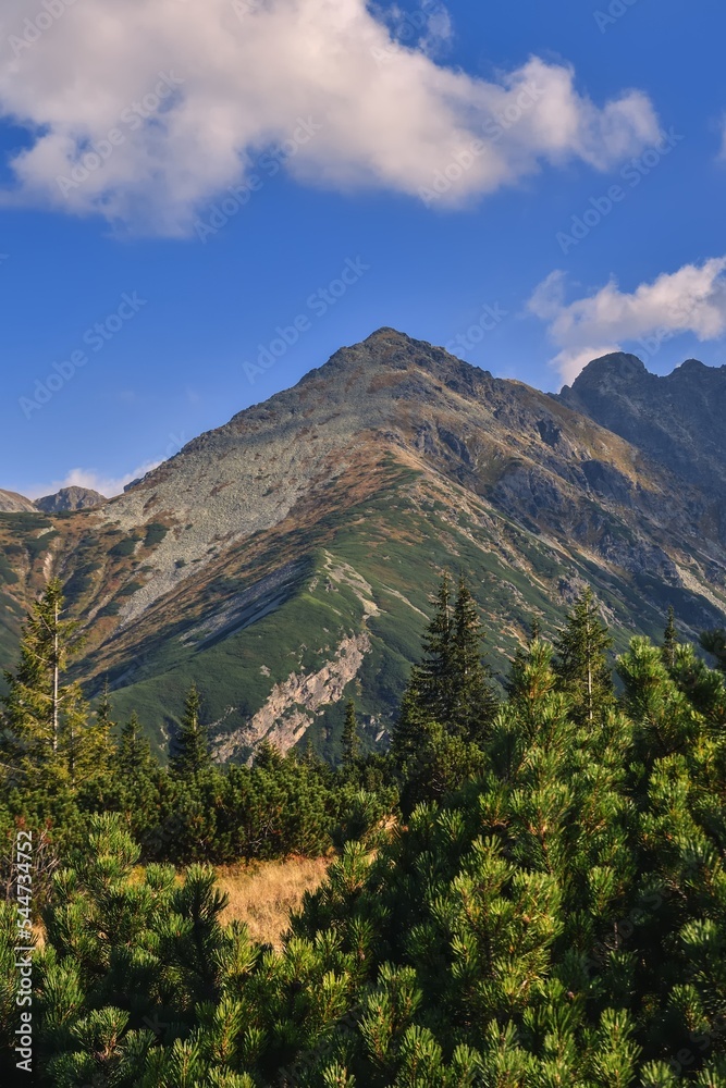 Beautiful summer landscape. Beautiful sunny day in the Polish Tatra Mountains.