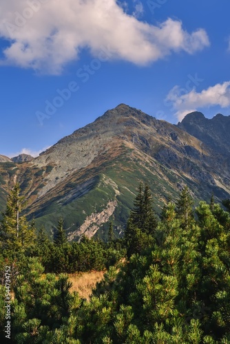 Beautiful summer landscape. Beautiful sunny day in the Polish Tatra Mountains.