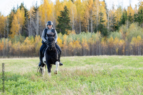 Icelandic horse in open field. Sunny autumn day. Female rider with black helmet. © AnttiJussi