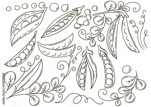 Set of vector illustrations in hand drawn style. Coloring poster with fruits