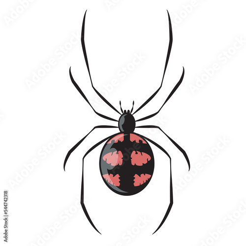 black and red spider, spider close-up, big scary spider isolated on white, poisonous insect, arachnophobia background, spider vector icon