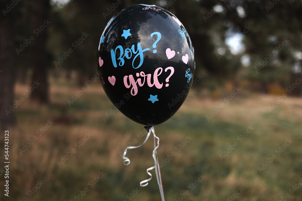 Celebration gender Party on nature. Black baloon with the inscription Boy  and Girl moving in the air. Expectant parents are having a gender reveal  party. Expecting baby. Baby shower Photos