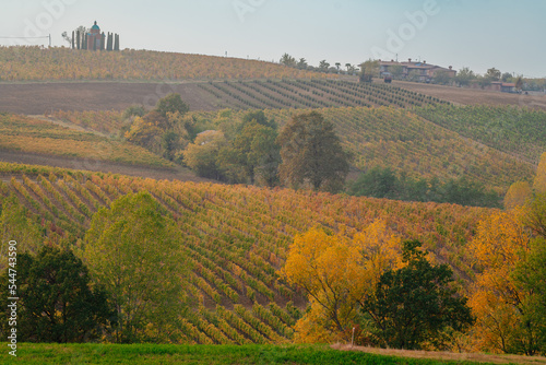 Colli piacentini hills in Italy. Vineyards in autumn photo