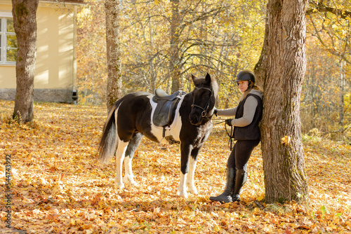 Black and white Icelandic horse and female rider in autumn scenery under maple tree with maple leaf on the ground. Rider wearing black helmet. © AnttiJussi