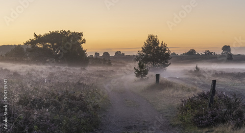 Lüneburger Heide im Nebel 