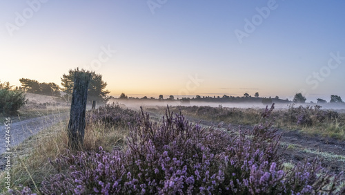 Lüneburger Heide im Nebel