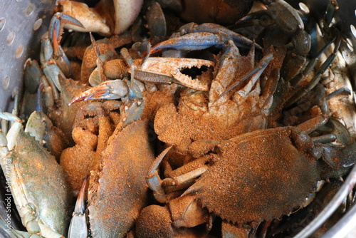 Crabs in steam pot covered in seasonings