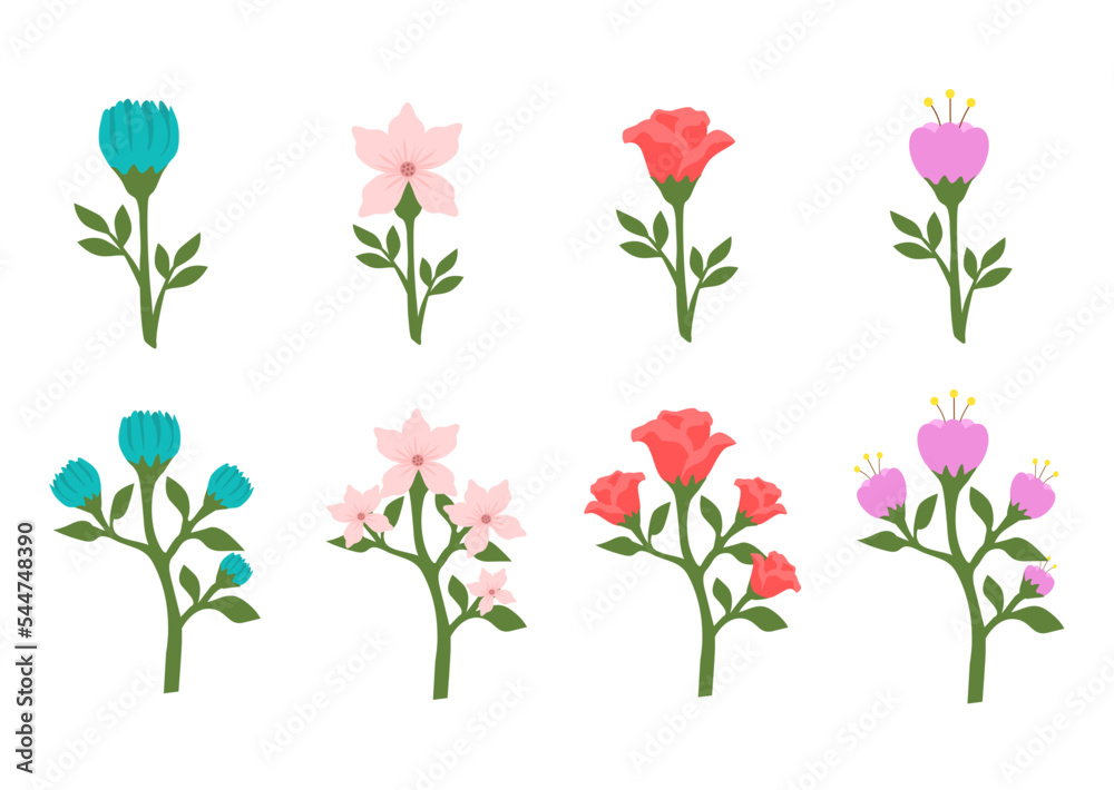 Set of Flowers