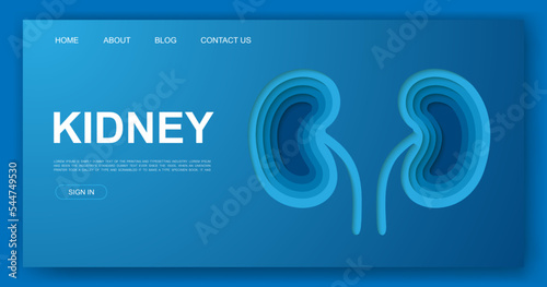 Kidneys 3d paper cut style website template. Urinary paper cut illustration. Internal organ symbol for landing page, advertising page.