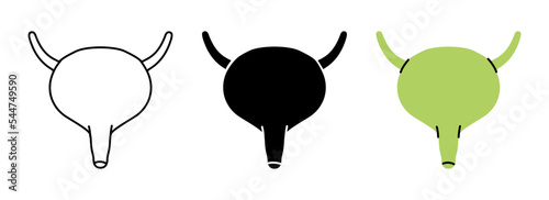 Set of human bladder symbols. Human bladder icons in color, black and thin line style. Vector illustration. Human organ icons
