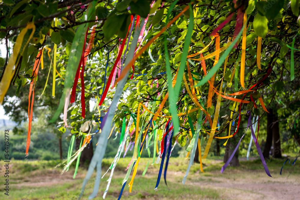 Colored wish ribbons tied on the branches of a tree Colored wish ribbons tied on the branches of a tree