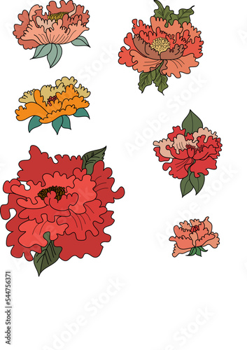 Peony flower vector for tattoo design on white background.Beautiful line art for doodle coloring book with Peony flower illustration on isolated.