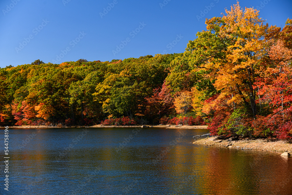Colorful trees by the lake in autumn foliage. Golden autumn trees on lake shore. Autumn lakeview landscape. Golden autumn lake trees. Colorful trees by the lake in autumn foliage. Golden autumn trees on lake shore. Autumn lakeview landscape. Golden autumn lake trees.