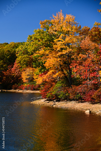 Autumnal foliage lake with beautiful colorful trees at the Harriman State Park  NY  USA.