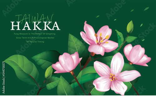 beautiful tung blossom;May snow of Taiwan;Hakka of Taiwan