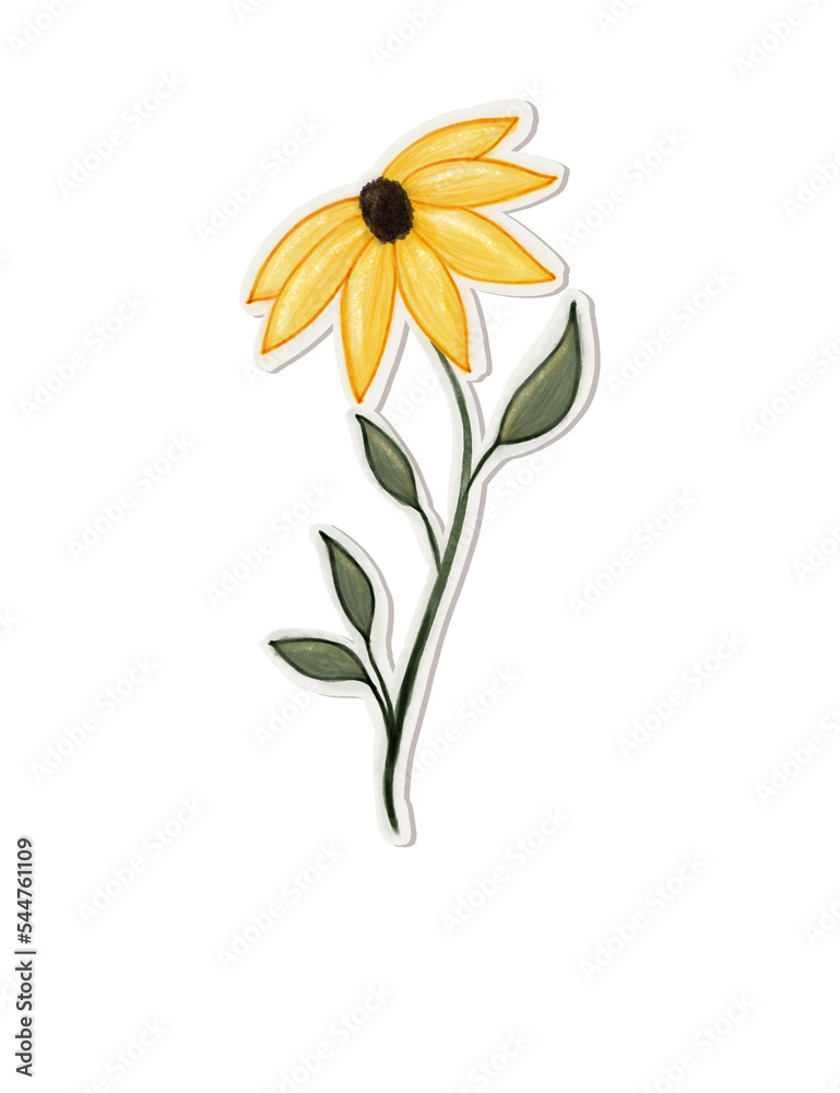 yellow daisy flower yellow daisy flower