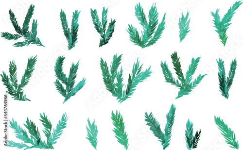 水彩画。水彩タッチのもみの木ベクターイラスト。Watercolor painting. Fir tree vector illustration with watercolor touch.