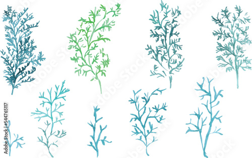 水彩画。水彩タッチの植物ベクターイラスト。Watercolor painting. Watercolor touch plant vector illustration.