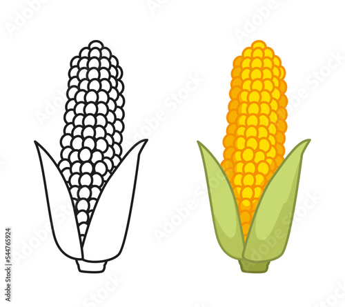 Corn on the cob, black line and color set. Coloring book for children's educational task. Vector illustration of a vegetable in a cartoon childish style. Isolated funny clipart on white background.