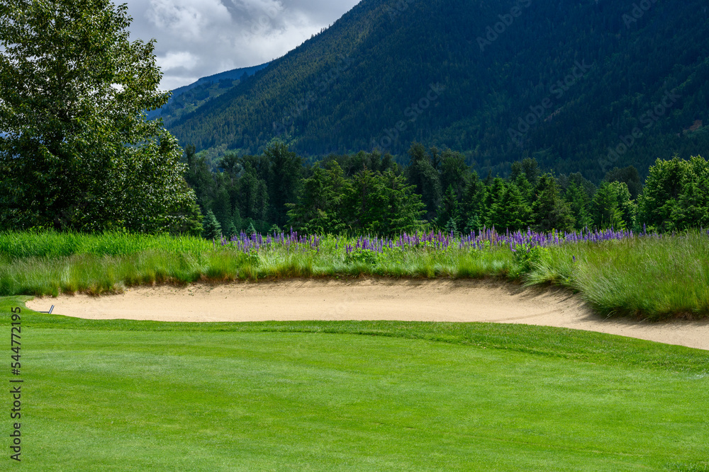 Sand trap on a lush green golf course, wildflowers blooming and stormy clouds in background
