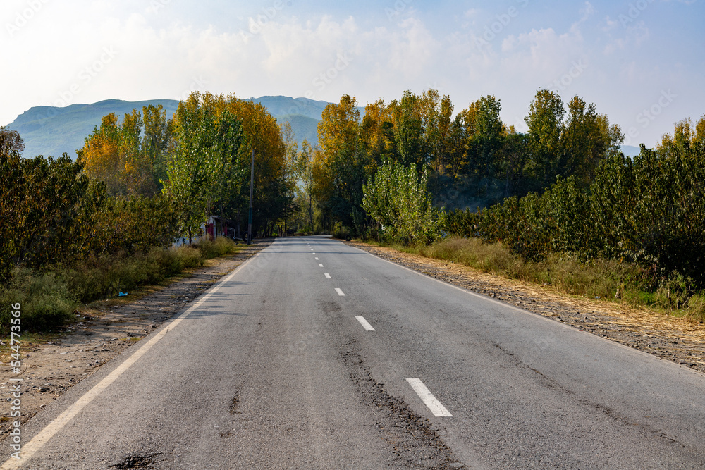 Empty asphalt road through the poplar forest in the autumn. Traveling in swat valley in the autumn season