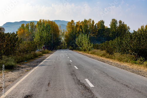 Empty asphalt road through the poplar forest in the autumn. Traveling in swat valley in the autumn season © GreenThumbShots