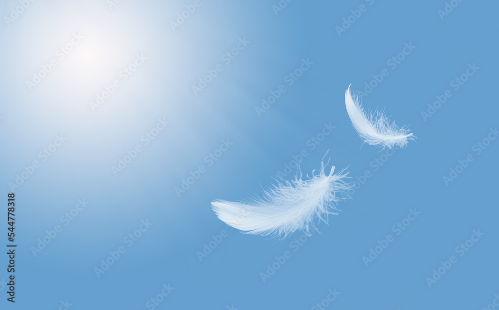 Premium Photo, Single white feather float in the sky.