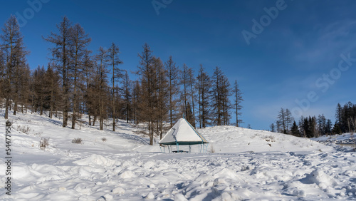 A gazebo is installed in a snow-covered valley. There is a layer of snow on the pyramidal roof. Footprints all around. Forest on the hill. Blue sky. Altai © Вера 
