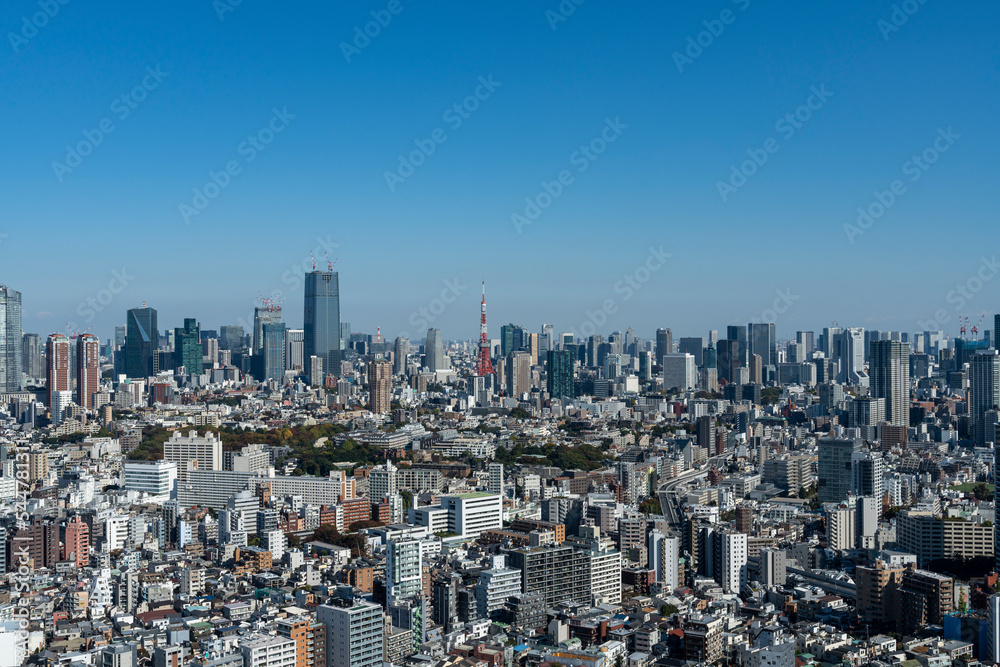 Obraz premium 東京恵比寿の高層ビルから望む都市景観