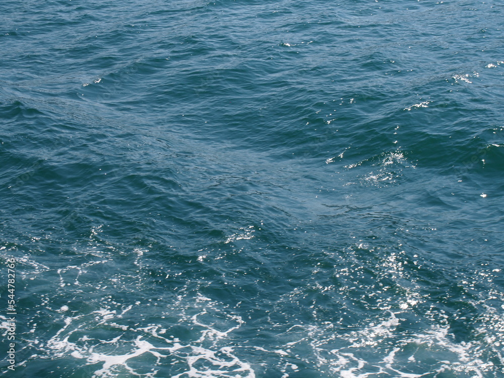 海 海