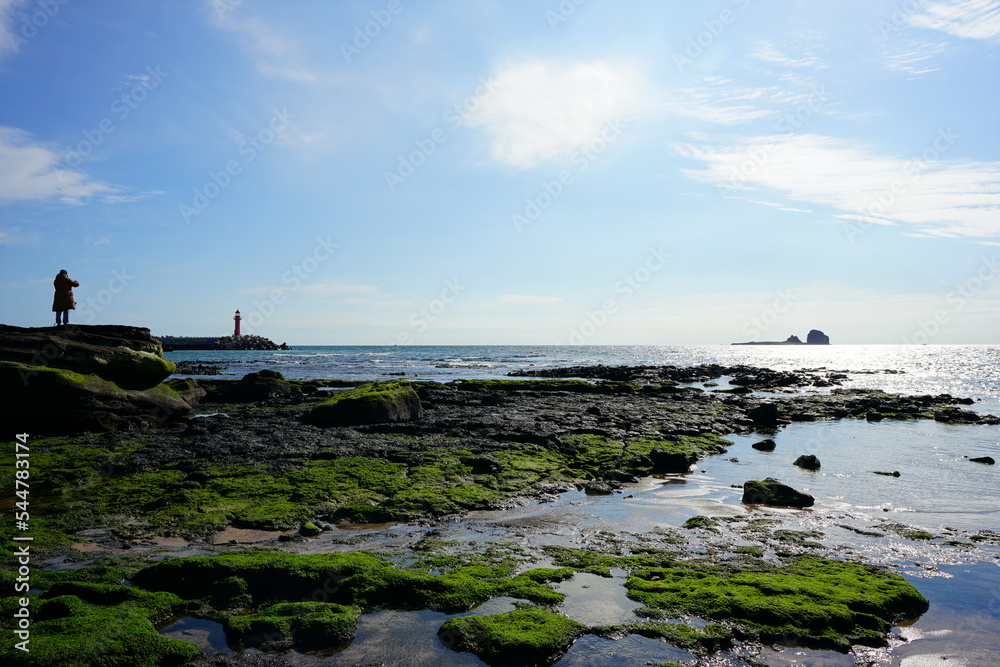 mossy rock beach and lighthouse
