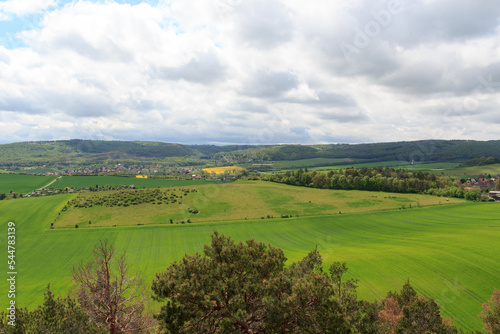 Panorama view of Harz mountains with rapeseed field seen from Teufelsmauer, Germany