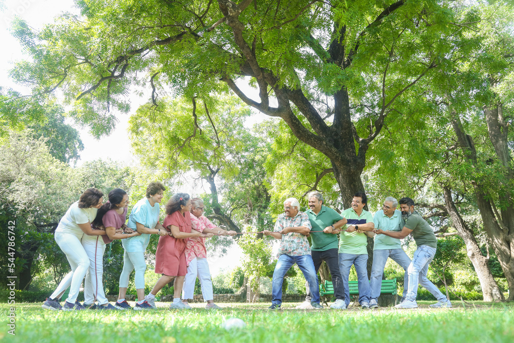 Obraz premium Group Of Retired Senior Indian People Playing Tug War at summer Park. Competition, old people sport activity, Health, Fitness, Retirement life. Picnic, Holidays, vacations. 
