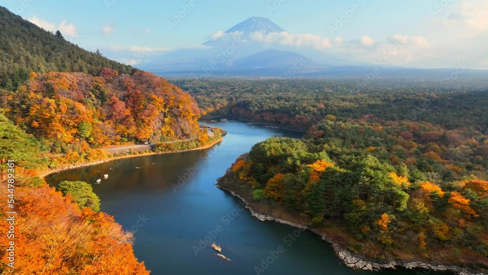 Aerial view of Mount Fuji in autumn, Fujiyama mountain and lake Shoji with autumn forest, Japanese natural symbol in the fall Aerial view of Mount Fuji in autumn, Fujiyama mountain and lake Shoji with autumn forest, Japanese natural symbol in the fall
