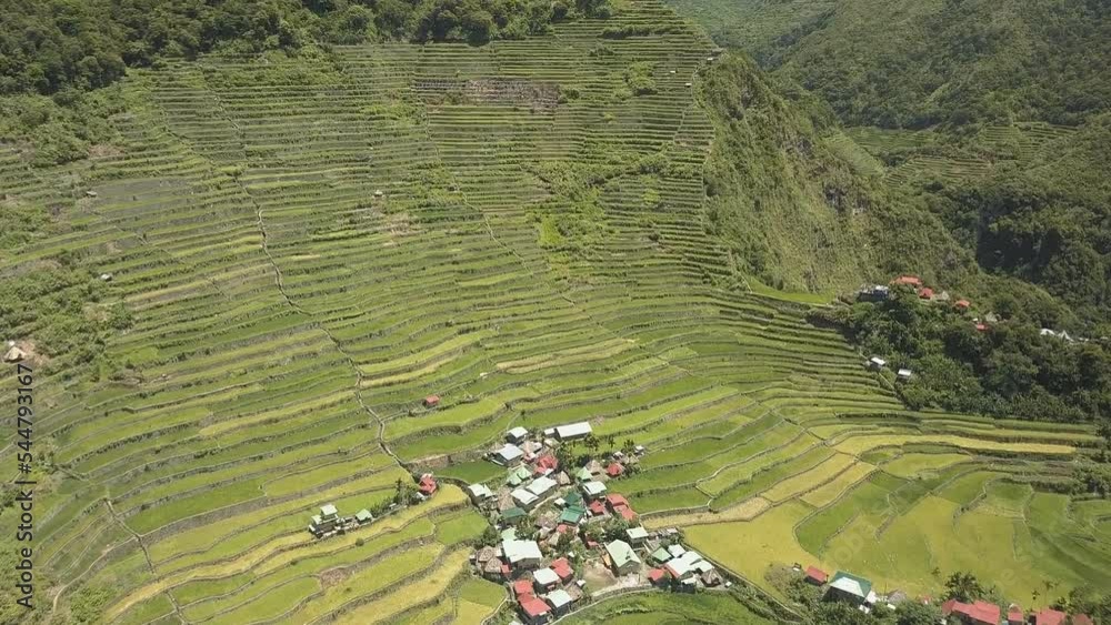 Vidéo Stock Aerial view of Rice Terraces in the Philippines. The Banaue