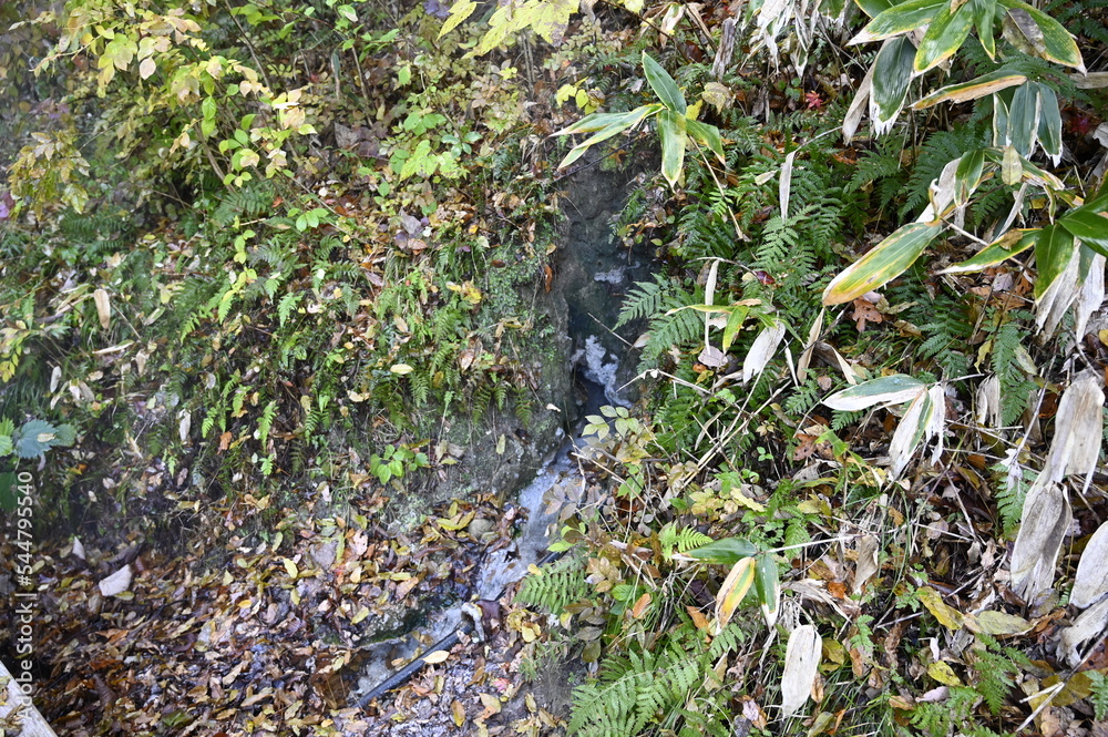 鳴子温泉・おにこうべ 鳴子温泉・おにこうべ