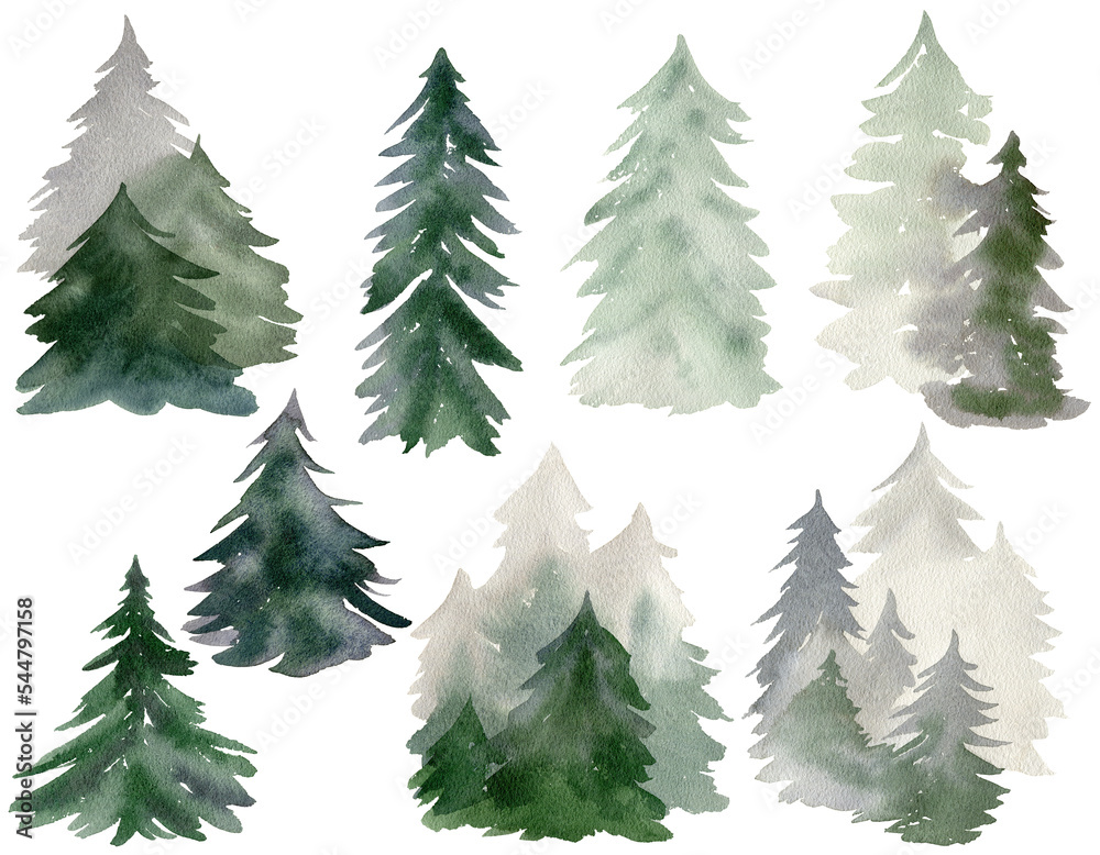 Set of watercolor fir trees. Hand drawn illustration.