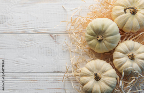 Thanksgiving or harvest flatlay with pumpkins