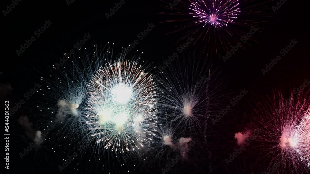 Fireworks exploding in dark night sky for celebration and anniversary concept
Fireworks exploding in dark night sky for celebration and anniversary concept